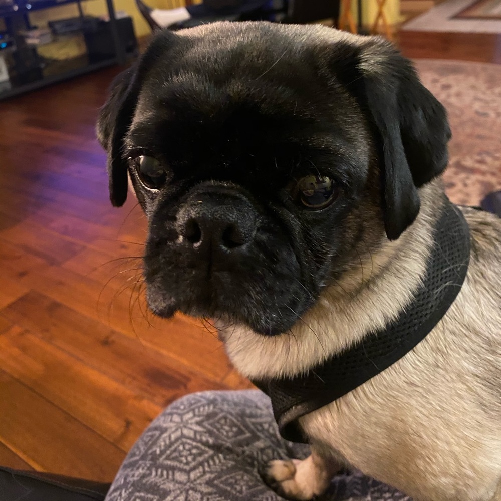 Meet your Posher, Bethany